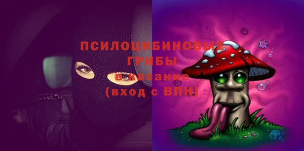 амф Бронницы