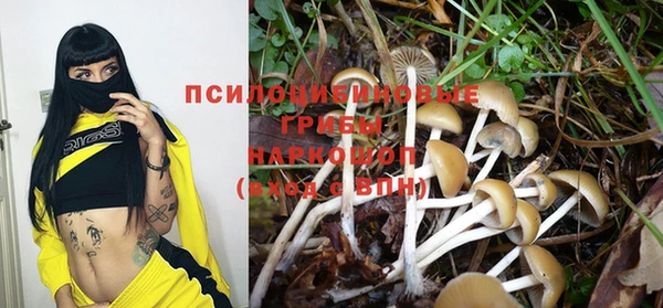альфа пвп Богородицк