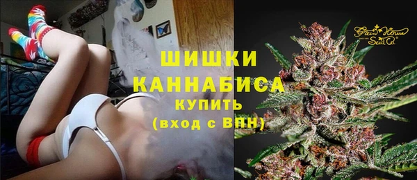сатива Бугульма