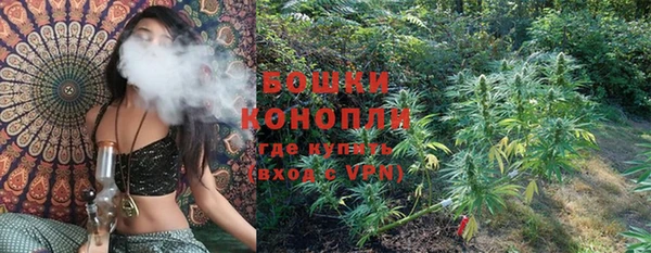 сатива Бугульма