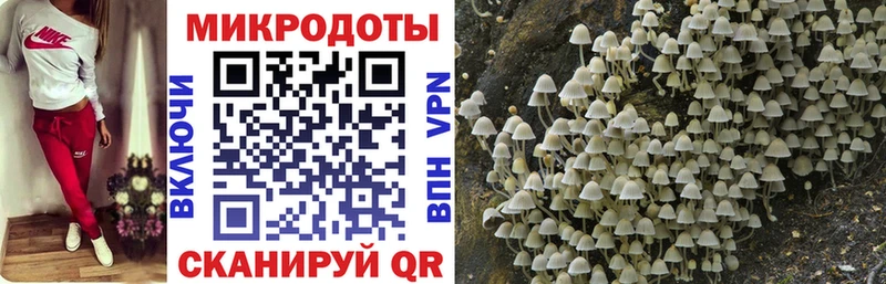 Галлюциногенные грибы мухоморы  Купить закладки  Лысково 
